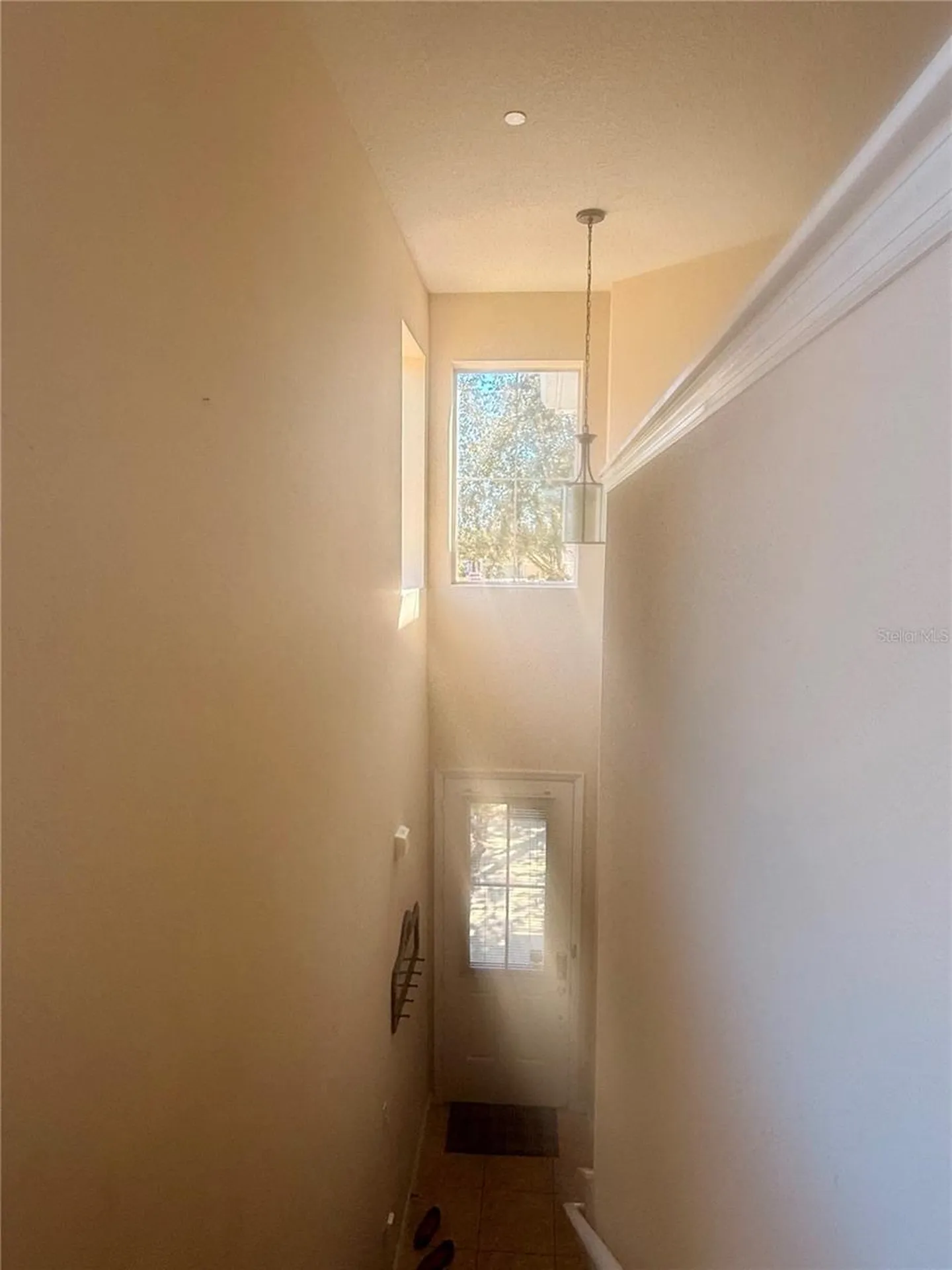 2219 Pico Lane Mount Dora FL 32757