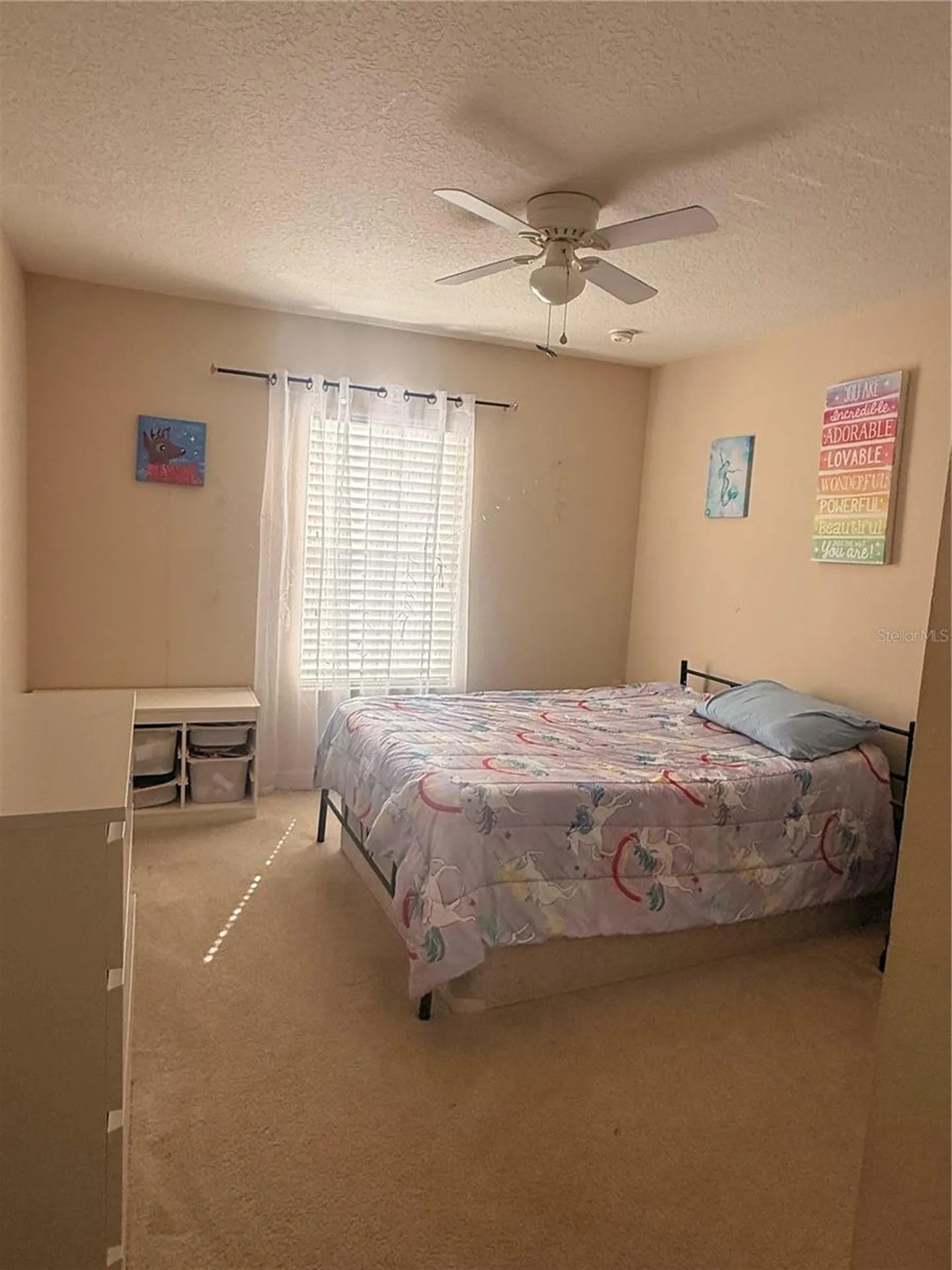 2219 Pico Lane Mount Dora FL 32757