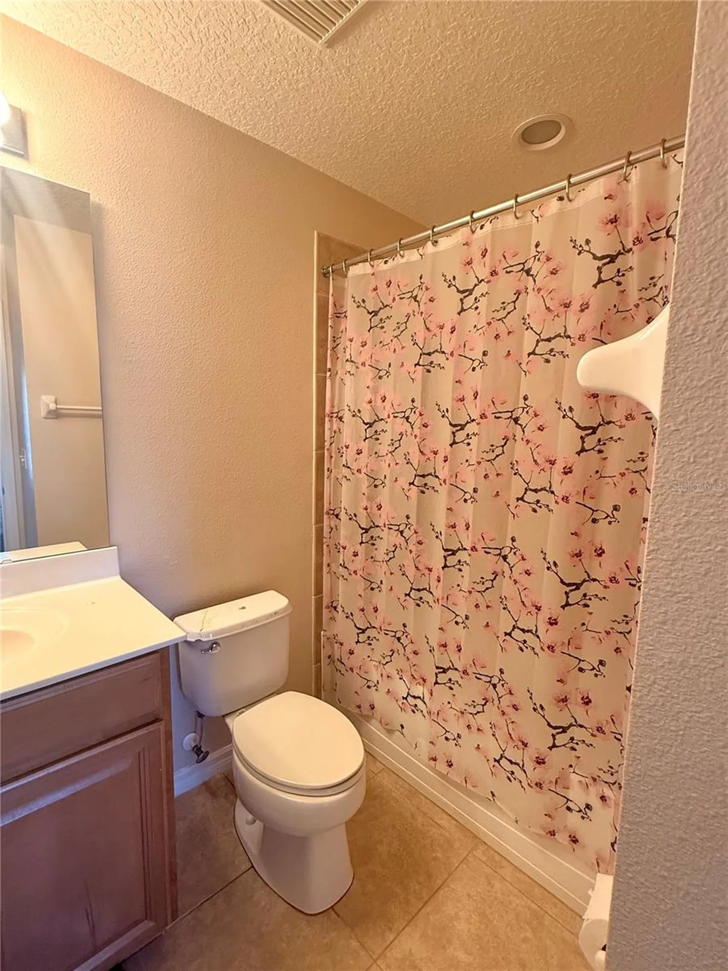 2219 Pico Lane Mount Dora FL 32757