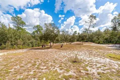42300 Fonseca Lane Deland FL 32720