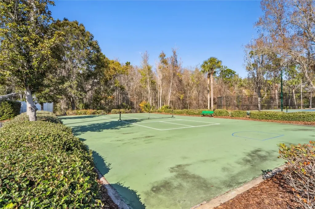 31814 Blythewood Way Wesley Chapel FL 33543