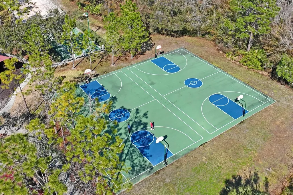 31814 Blythewood Way Wesley Chapel FL 33543