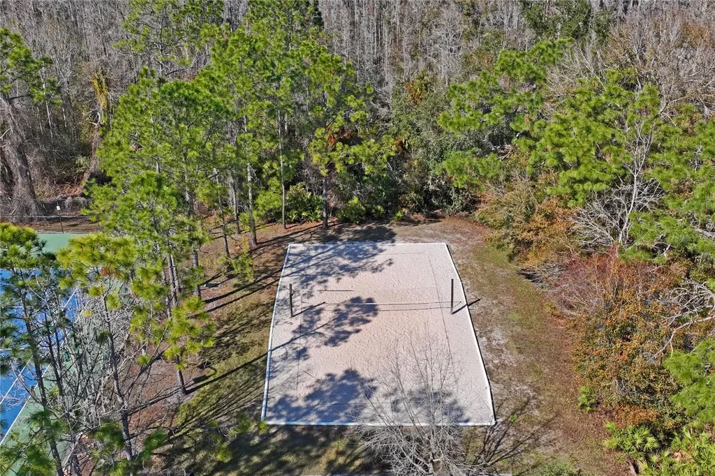 31814 Blythewood Way Wesley Chapel FL 33543