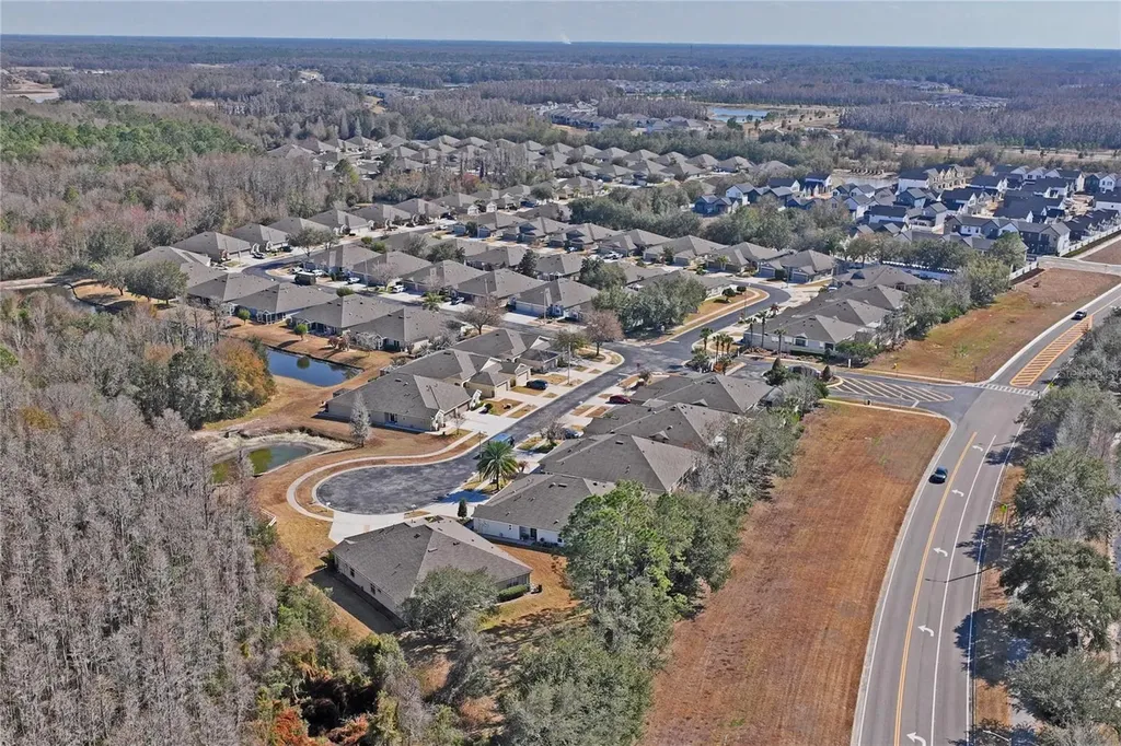 31814 Blythewood Way Wesley Chapel FL 33543