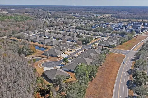 31814 Blythewood Way Wesley Chapel FL 33543