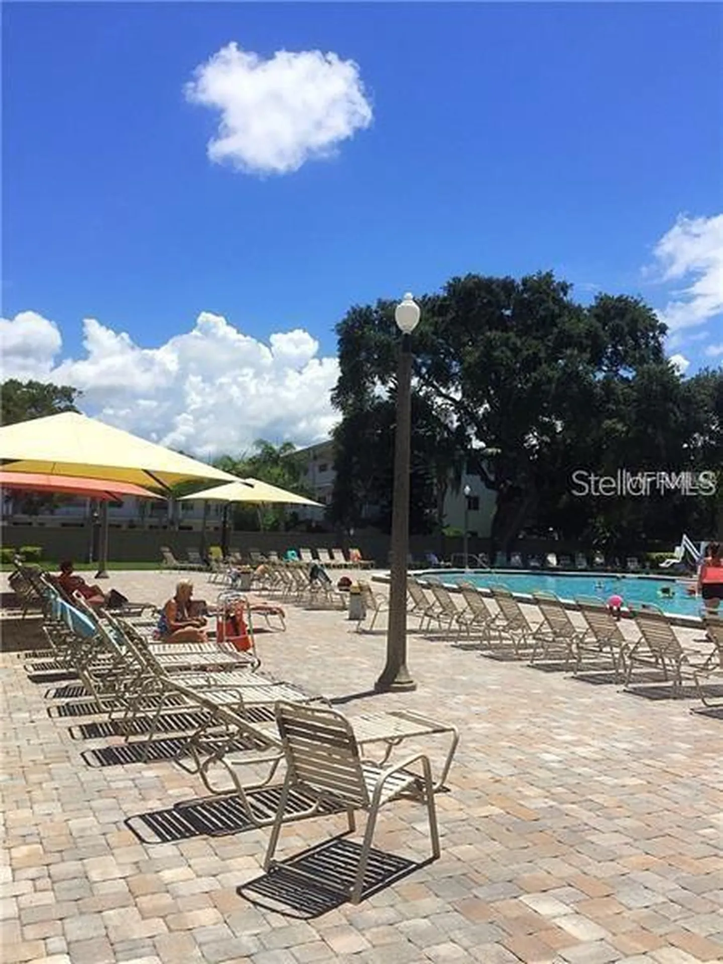2001 World Parkway Boulevard Clearwater FL 33763