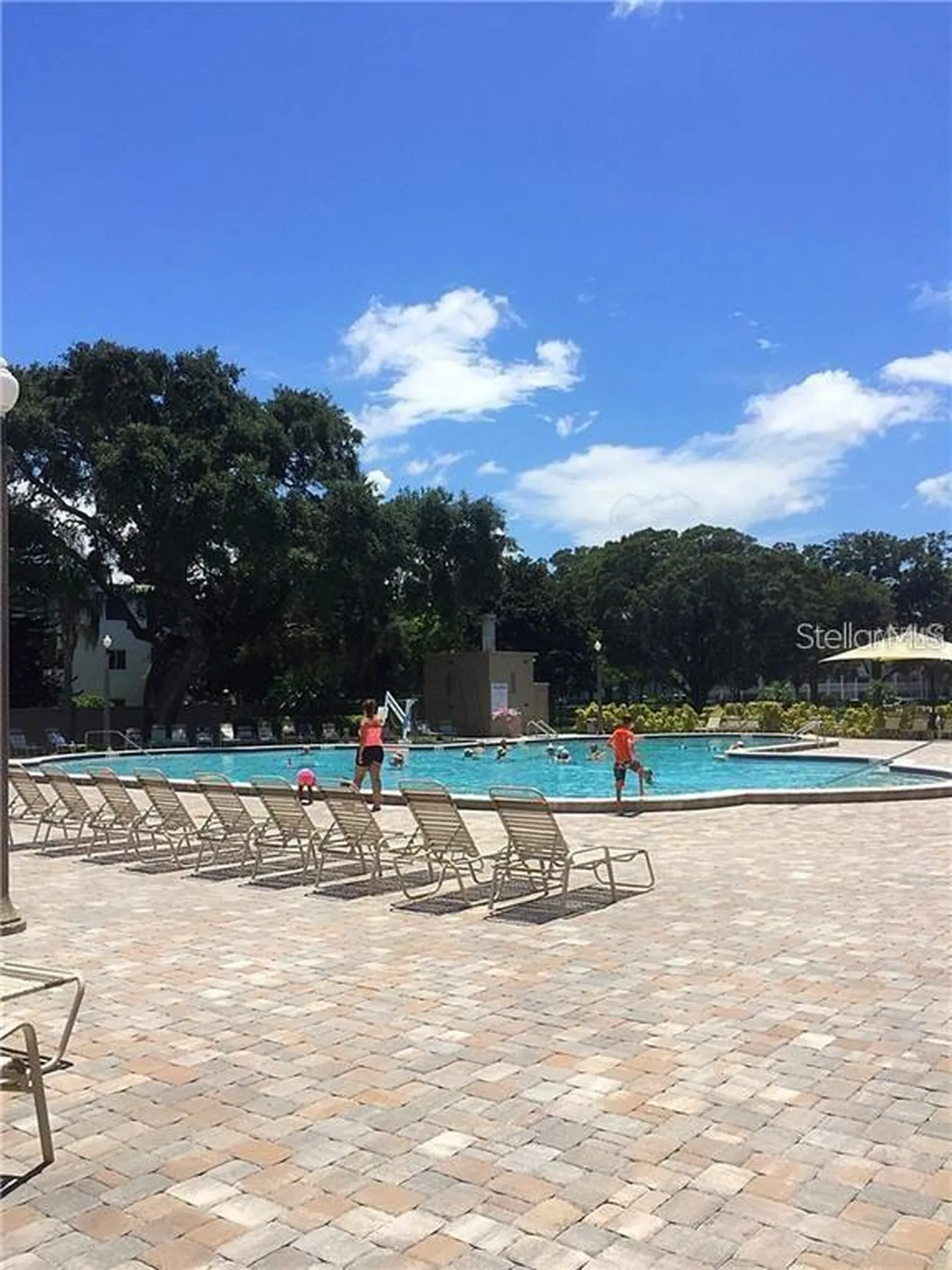 2001 World Parkway Boulevard Clearwater FL 33763