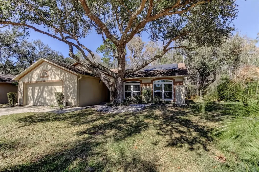 1795 Bayhill Drive Oldsmar FL 34677