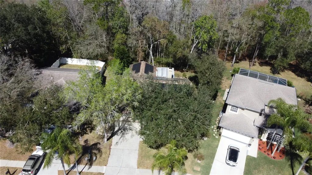 1795 Bayhill Drive Oldsmar FL 34677