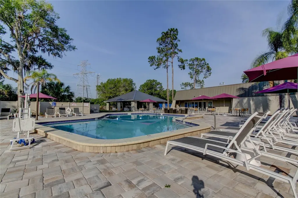 1795 Bayhill Drive Oldsmar FL 34677