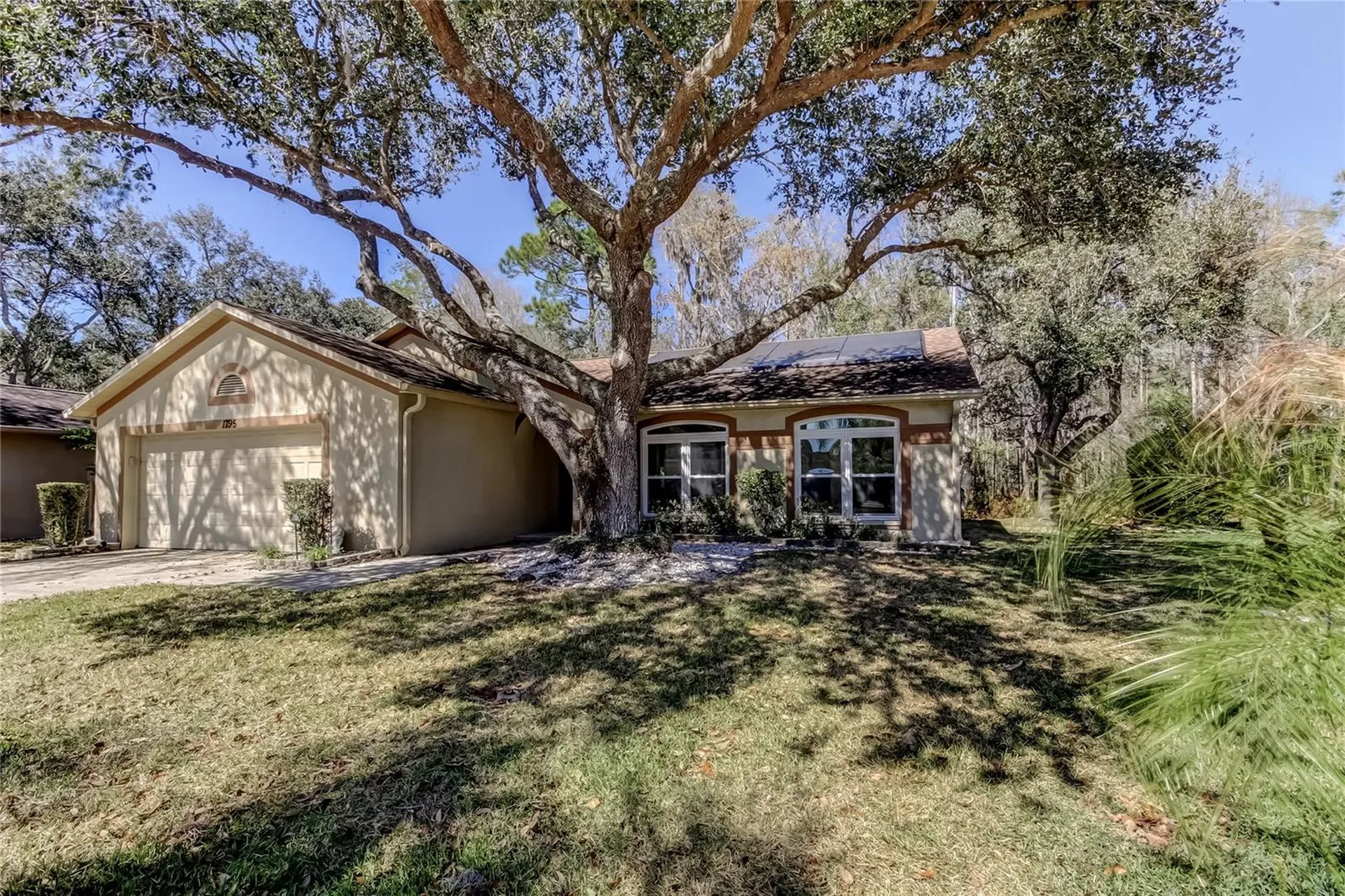 1795 Bayhill Drive Oldsmar FL 34677