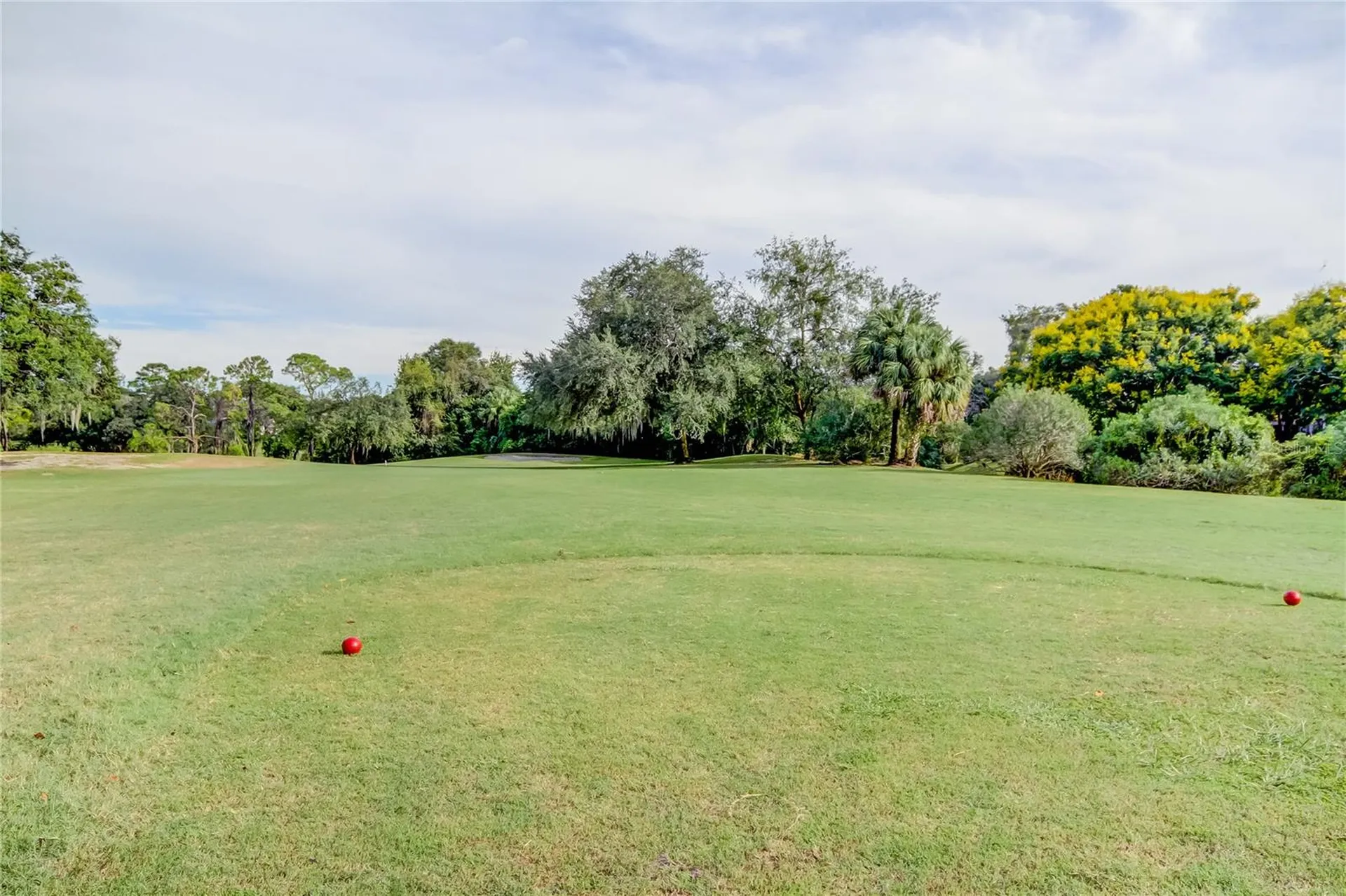 1795 Bayhill Drive Oldsmar FL 34677