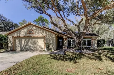 1795 Bayhill Drive Oldsmar FL 34677