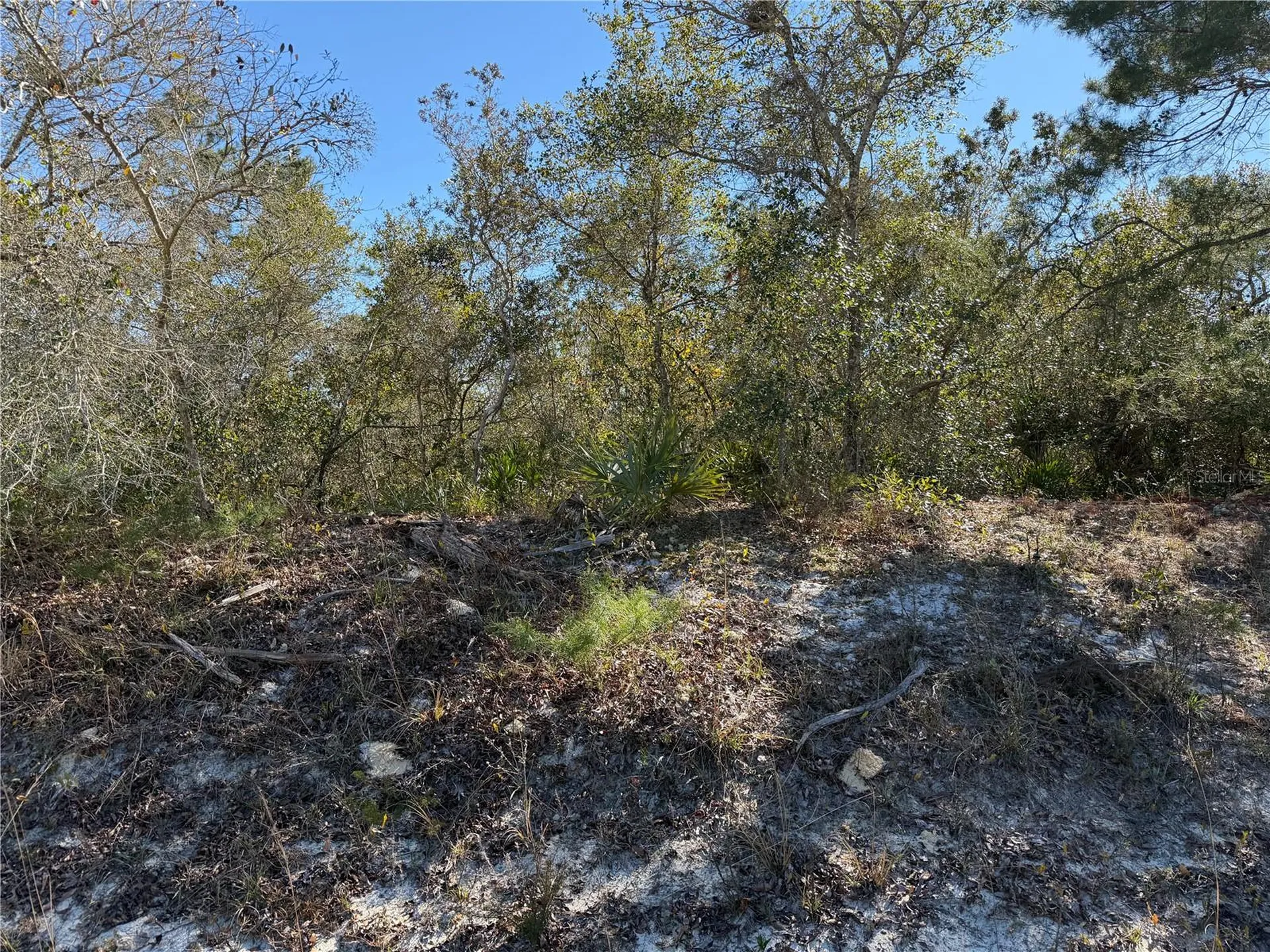 Mcbride Avenue Deltona FL 32725