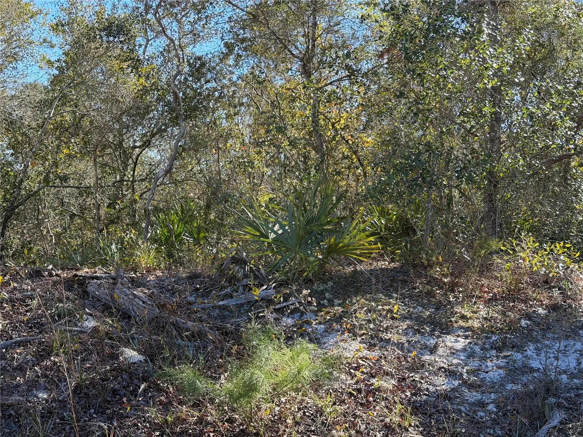 Mcbride Avenue Deltona FL 32725