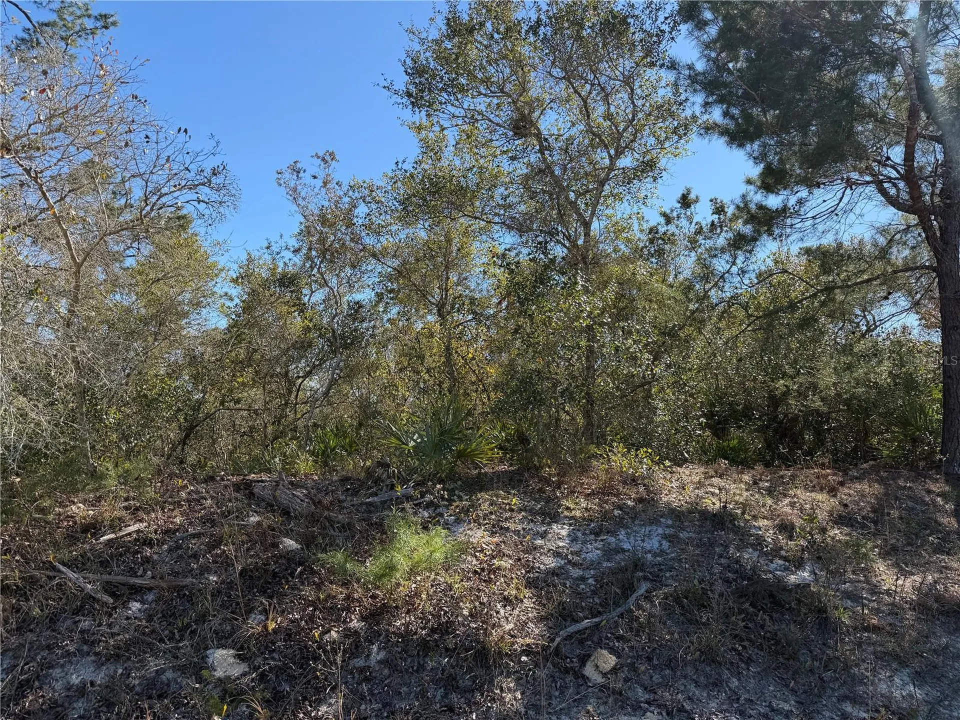 Mcbride Avenue Deltona FL 32725