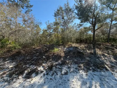 Mcbride Avenue Deltona FL 32725