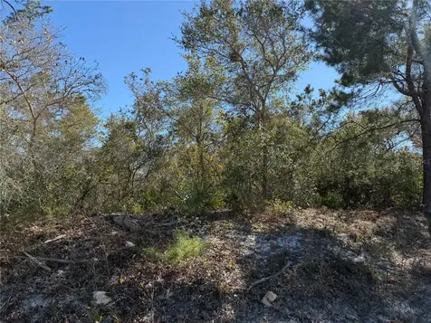 Mcbride Avenue Deltona FL 32725