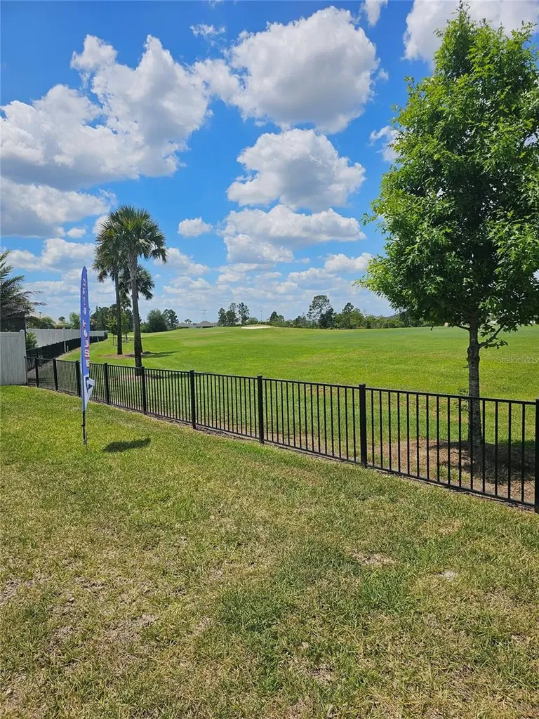 7704 Brian Etheredge Way The Villages FL 34762