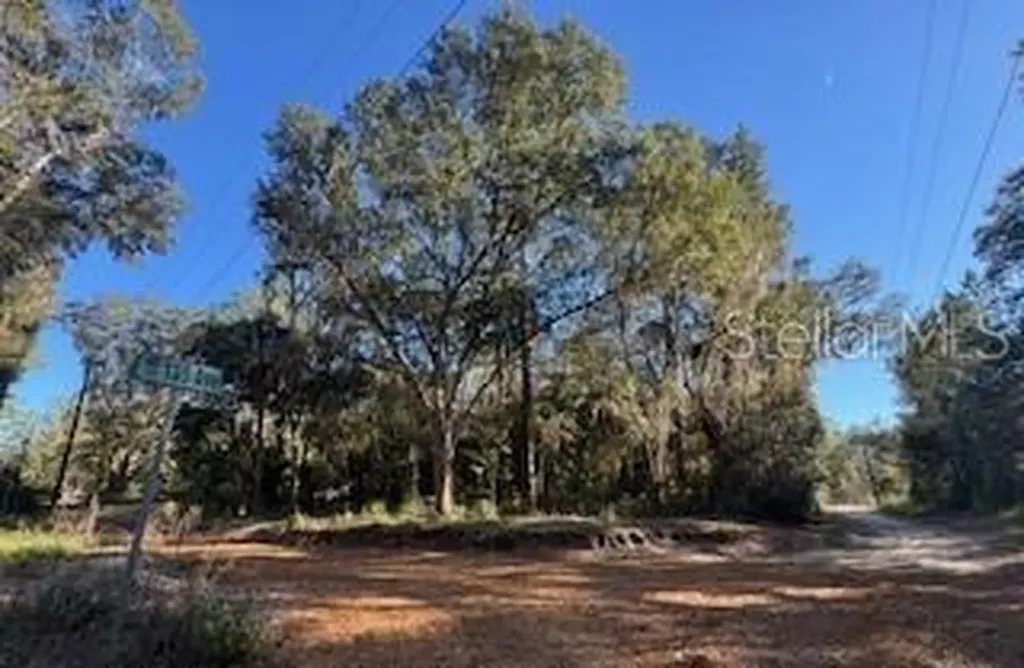 Tbd NE 135 Avenue Fort Mc Coy FL 32134