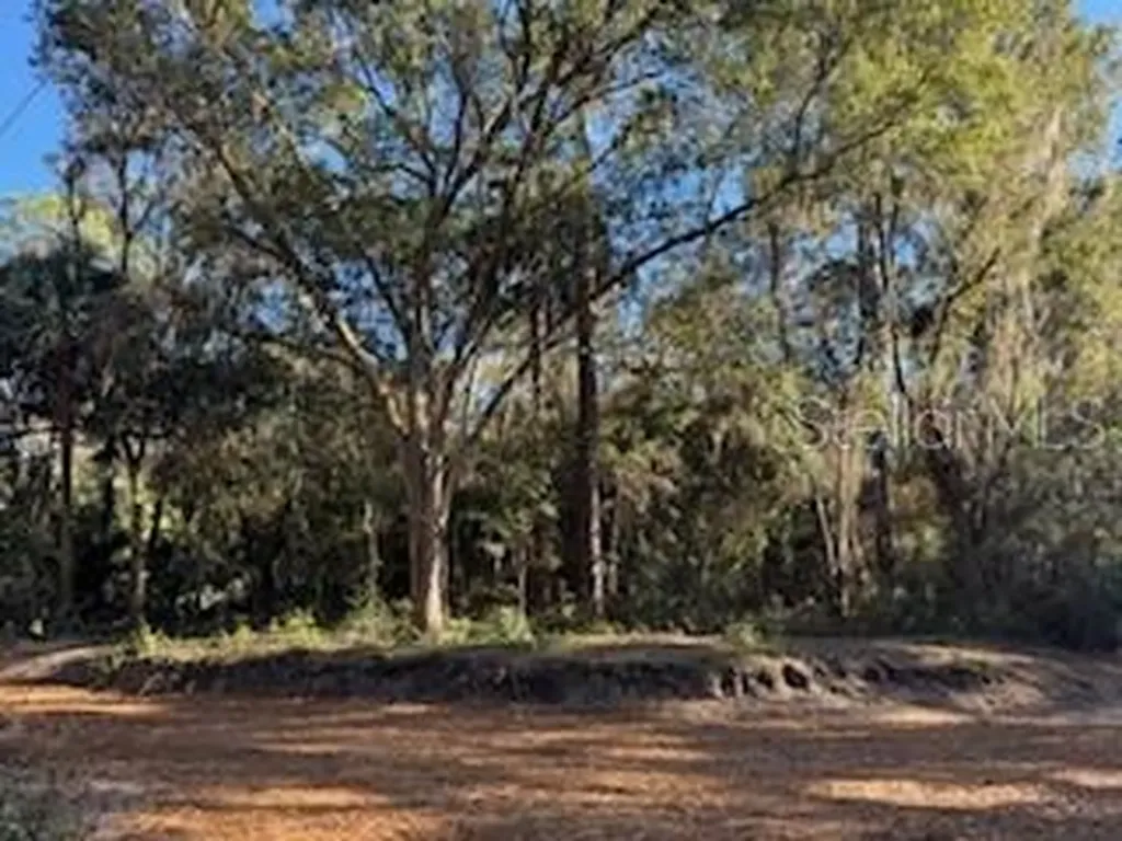 Tbd NE 135 Avenue Fort Mc Coy FL 32134