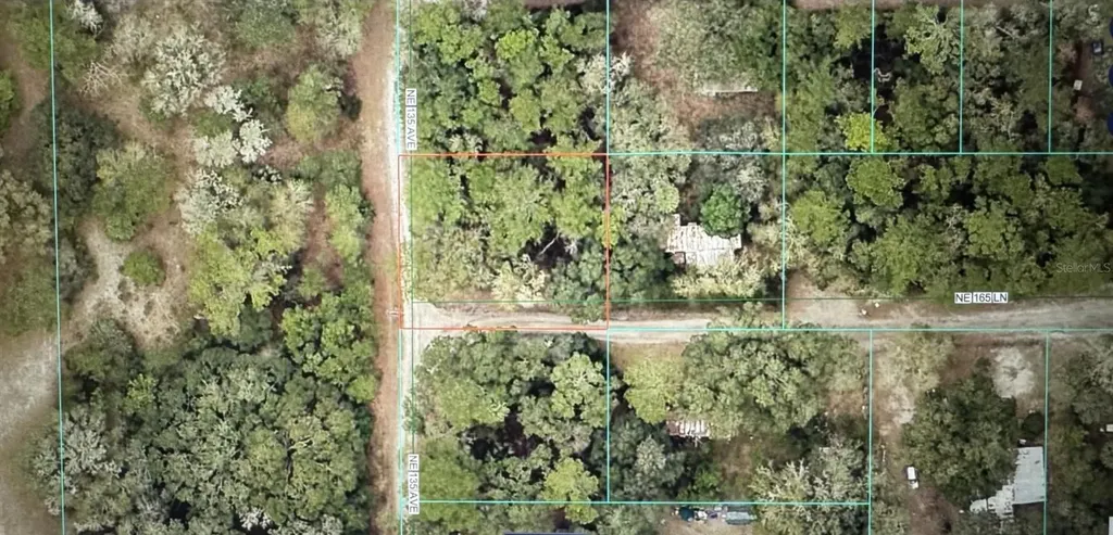 Tbd NE 135 Avenue Fort Mc Coy FL 32134