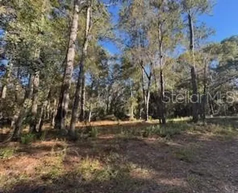 Tbd NE 135 Avenue Fort Mc Coy FL 32134