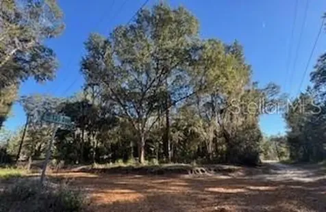 Tbd NE 135 Avenue Fort Mc Coy FL 32134