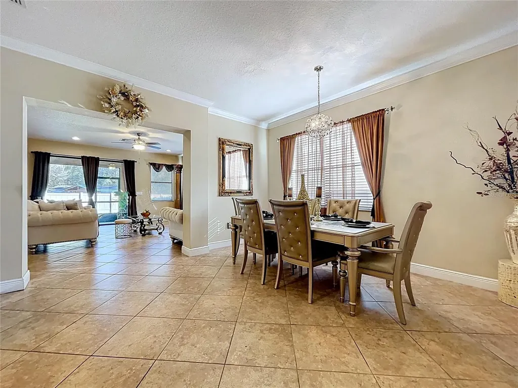 15246 Anguilla Isle Avenue Tampa FL 33647