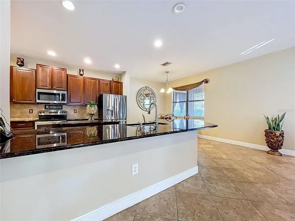 15246 Anguilla Isle Avenue Tampa FL 33647