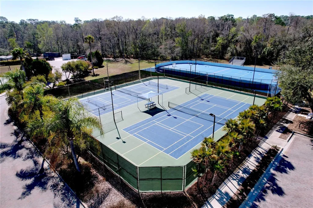 15246 Anguilla Isle Avenue Tampa FL 33647