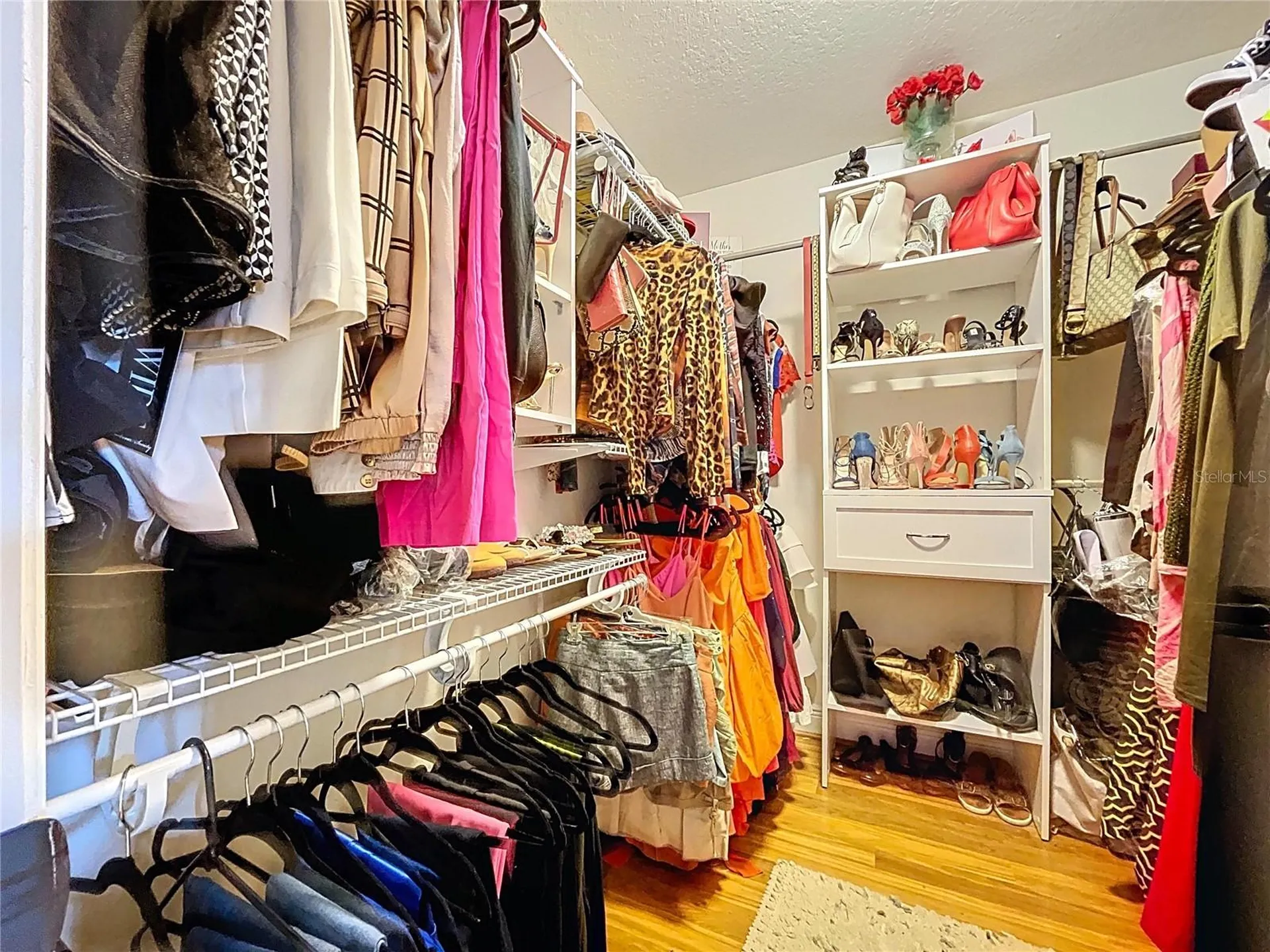 15246 Anguilla Isle Avenue Tampa FL 33647