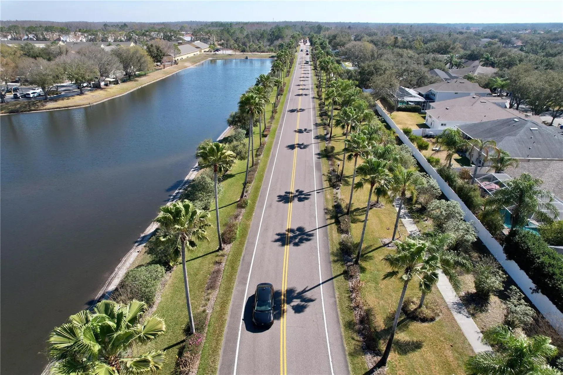 15246 Anguilla Isle Avenue Tampa FL 33647