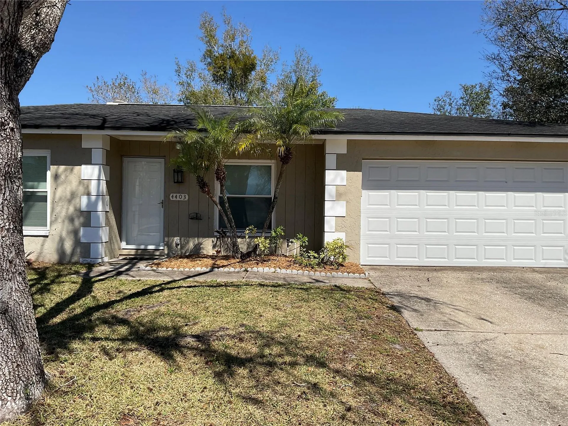 4403 Willowrun Lane Tampa FL 33624