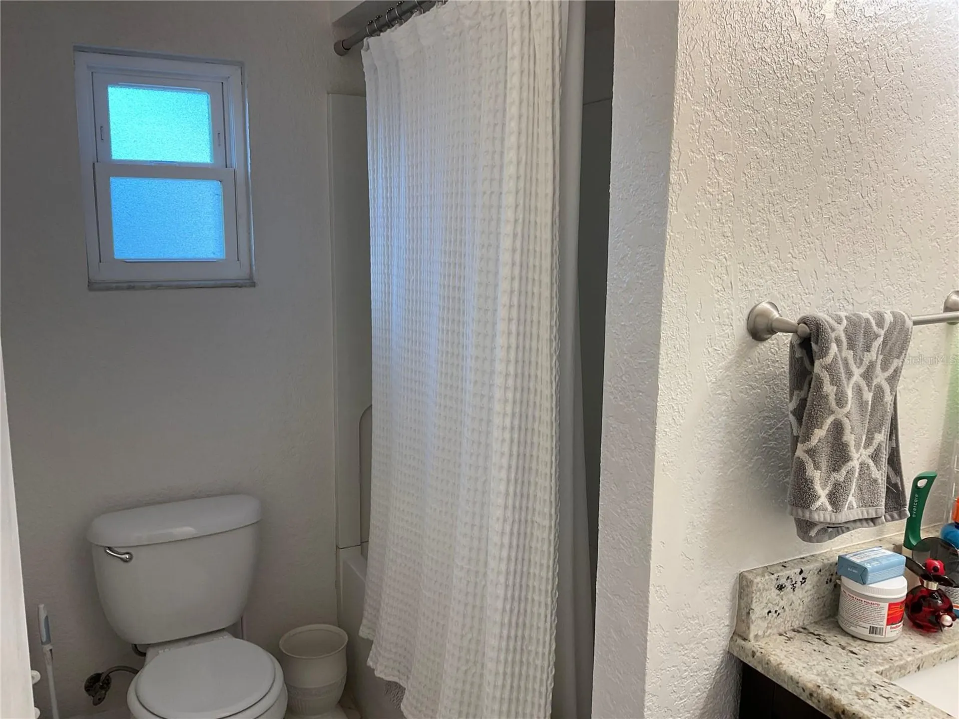 4403 Willowrun Lane Tampa FL 33624