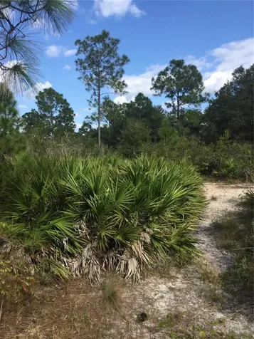 1604 5th Avenue Lehigh Acres FL 33972