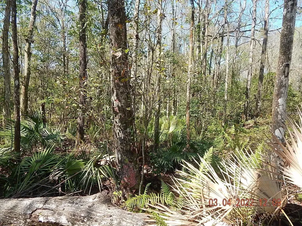 1026 Buist Street Orlando FL 32828