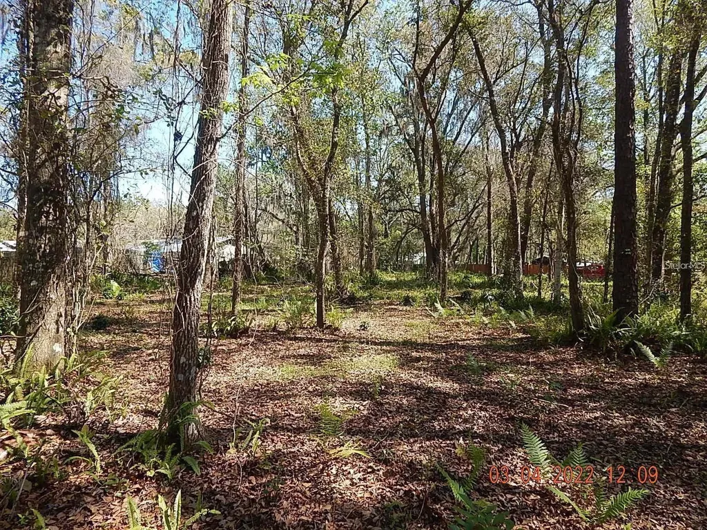 1026 Buist Street Orlando FL 32828