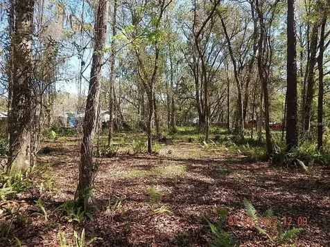 1026 Buist Street Orlando FL 32828