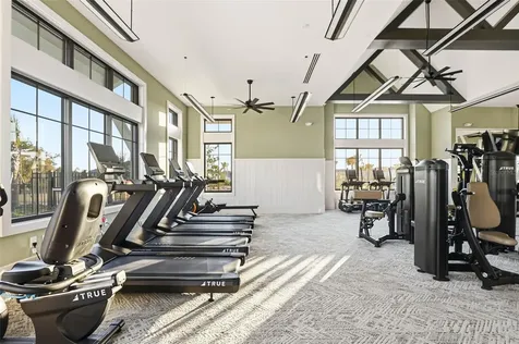 6962 Jared Oaks Drive Wesley Chapel FL 33545