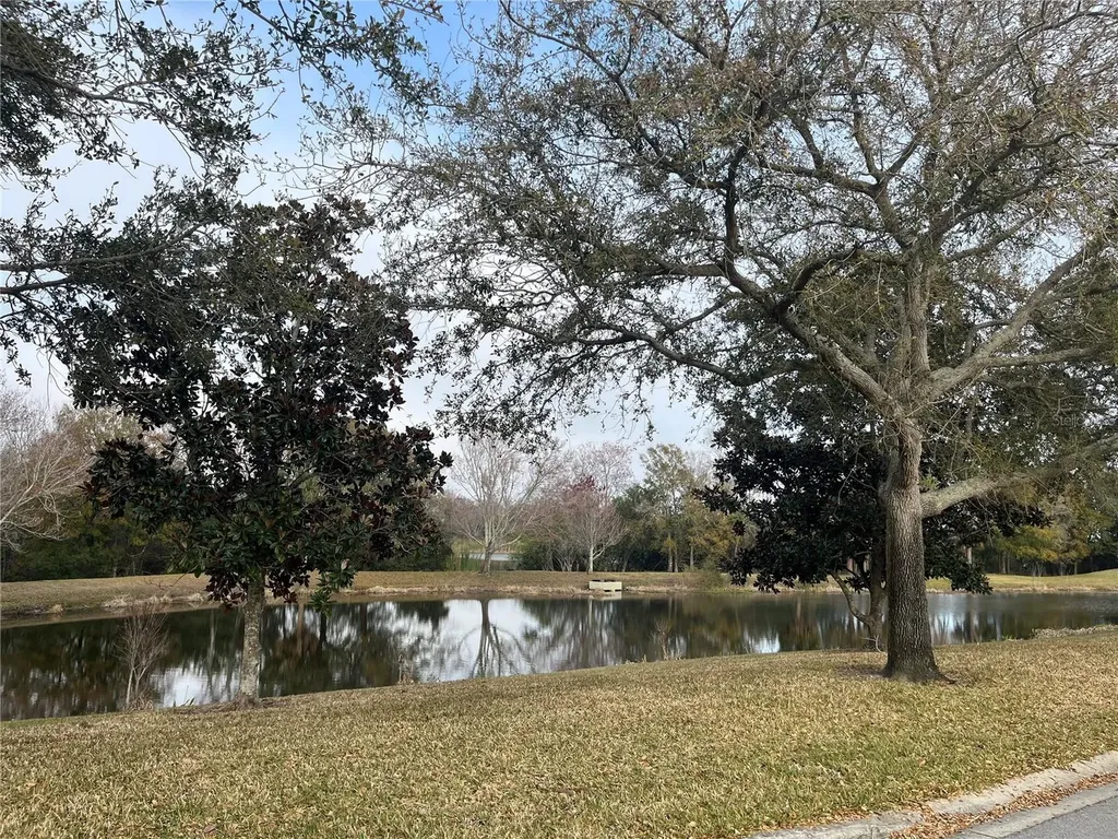1914 Oswego Drive Holiday FL 34691
