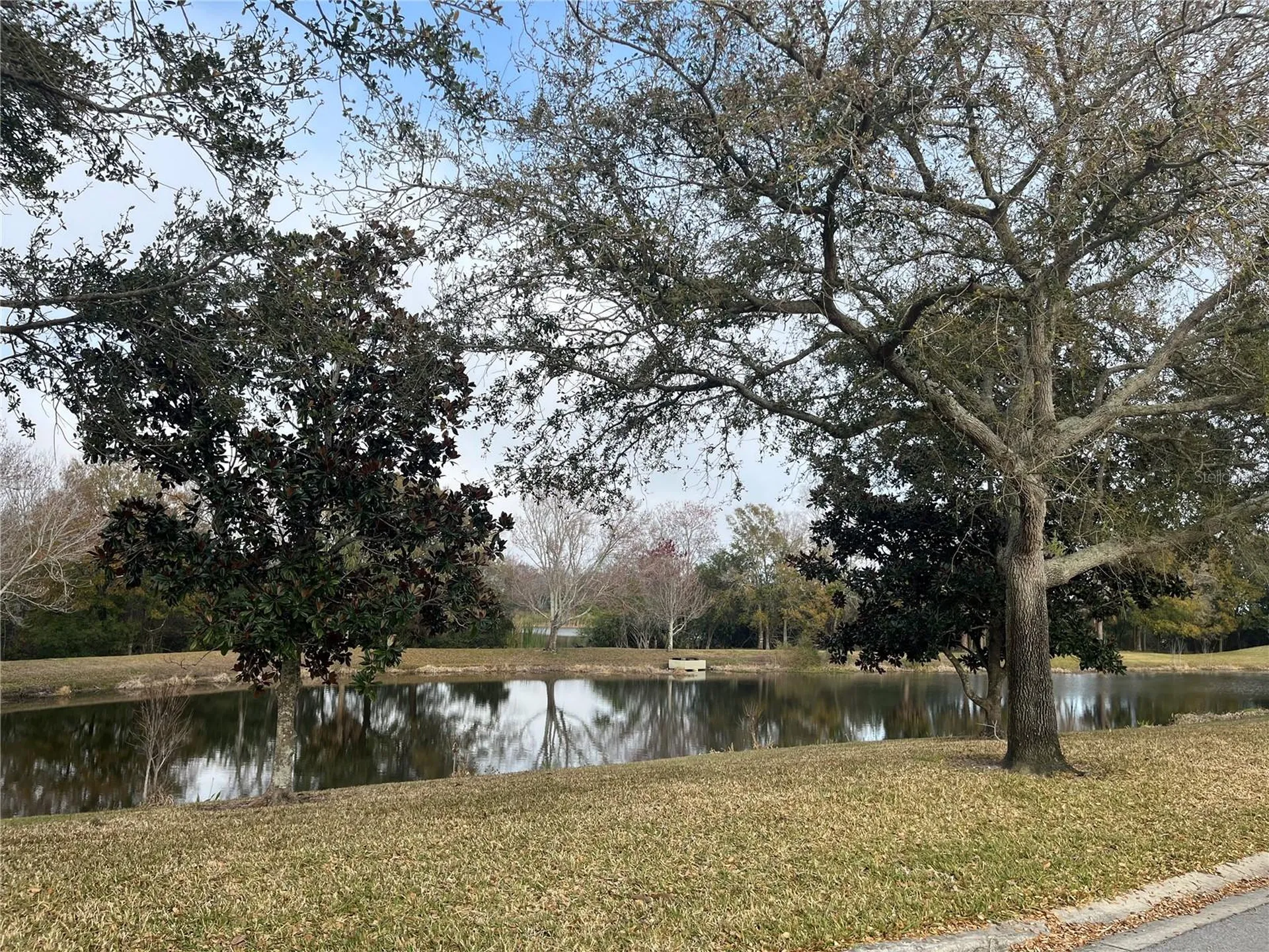 1914 Oswego Drive Holiday FL 34691