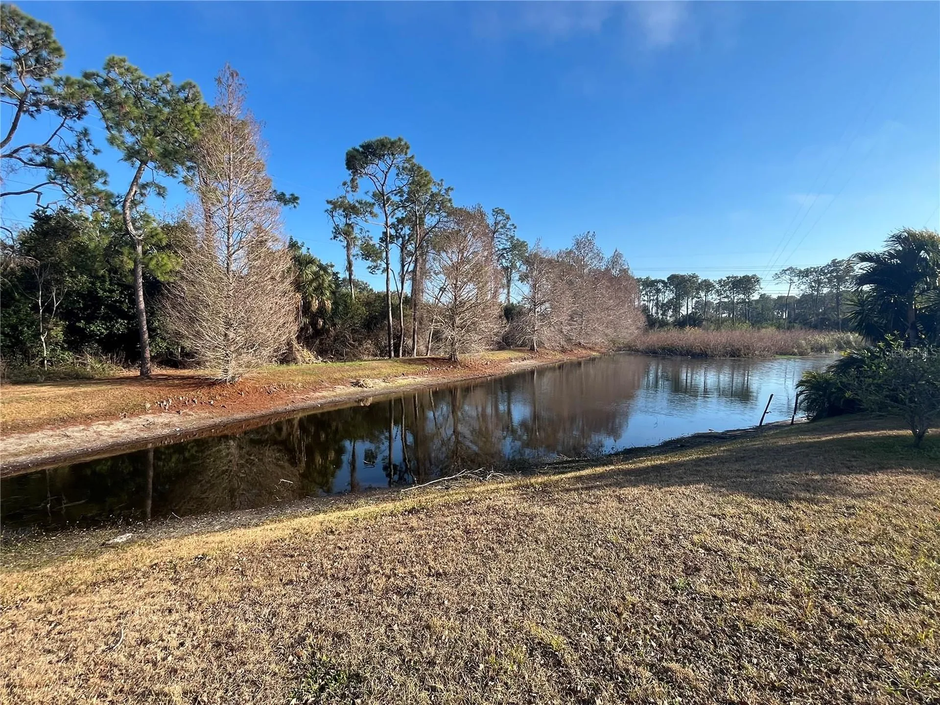 1914 Oswego Drive Holiday FL 34691