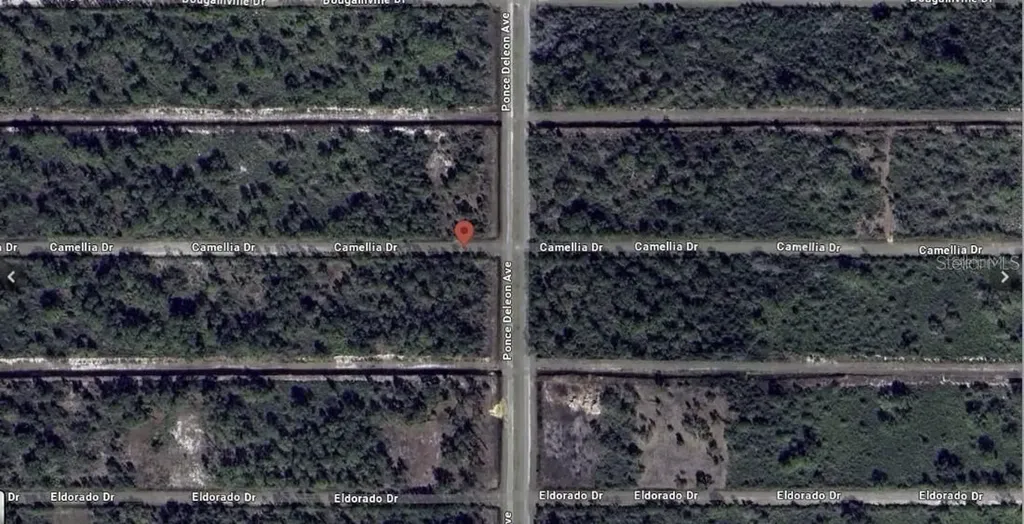 401 Camellia Drive Indian Lake Estates FL 33855