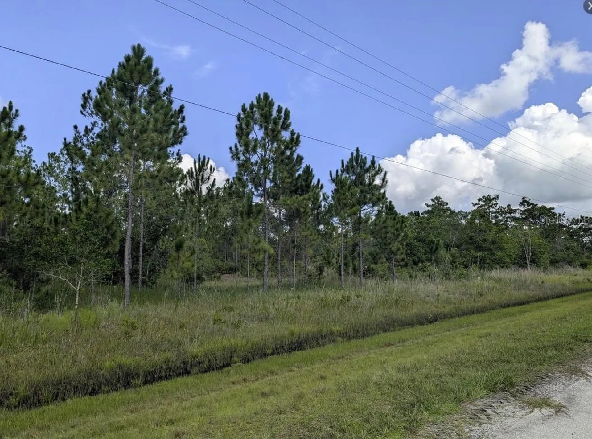 401 Camellia Drive Indian Lake Estates FL 33855