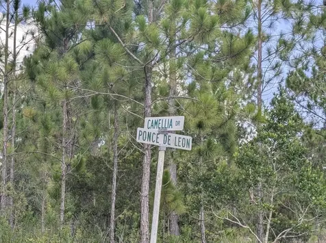 401 Camellia Drive Indian Lake Estates FL 33855