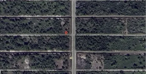 401 Camellia Drive Indian Lake Estates FL 33855