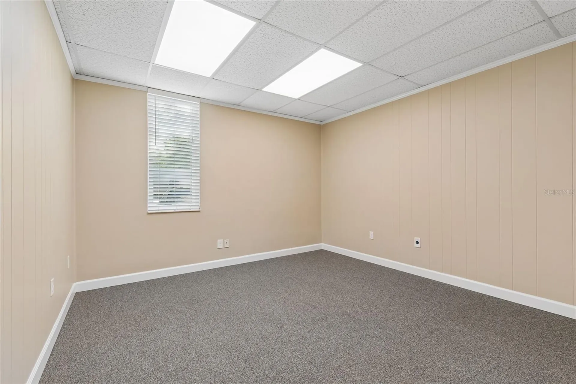 1046 W Busch Boulevard Tampa FL 33612