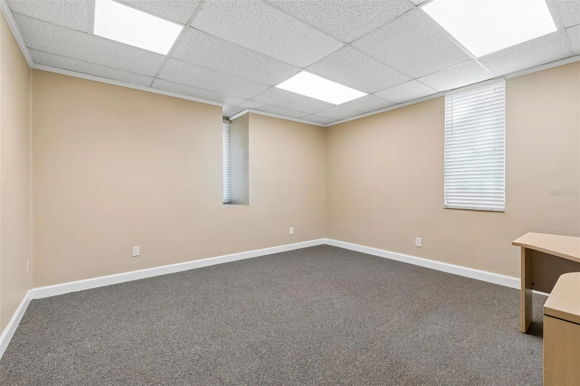 1046 W Busch Boulevard Tampa FL 33612