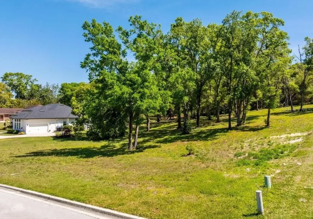 7041 Norne Lane Mount Dora FL 32757